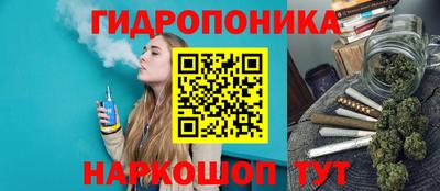 mdpv Боровичи