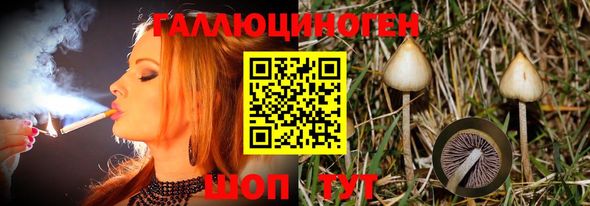 Псилоцибиновые грибы Magic Shrooms Гурьевск
