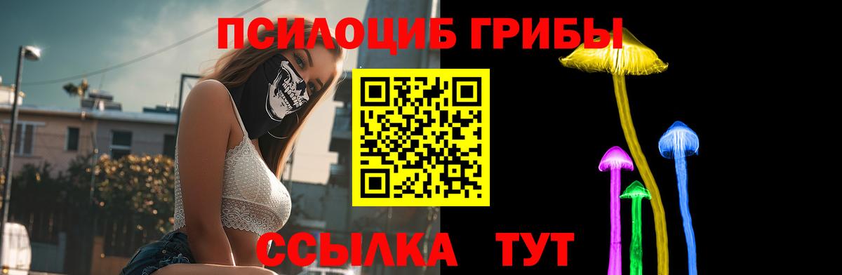 Гурьевск  Галлюциногенные грибы мицелий  Псилоцибиновые грибы Cubensis  Вход с VPN 